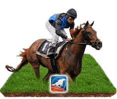 dd-horse-rcg988